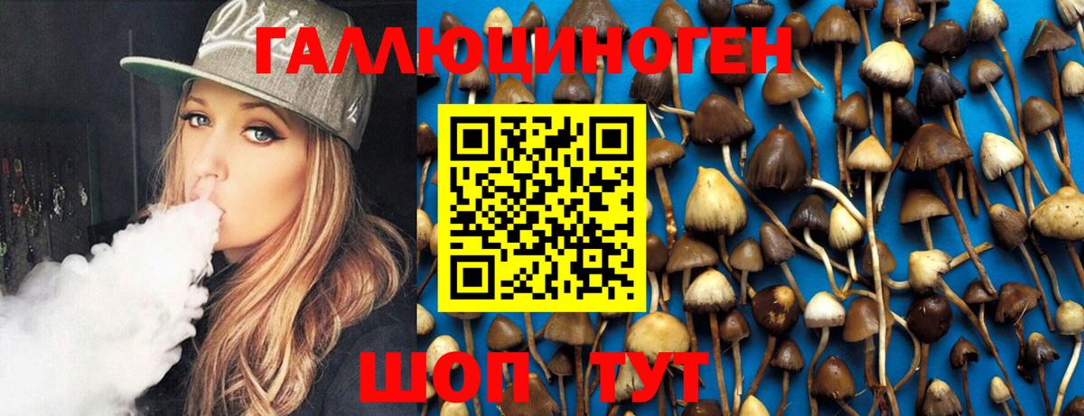 Галлюциногенные грибы Cubensis Ангарск